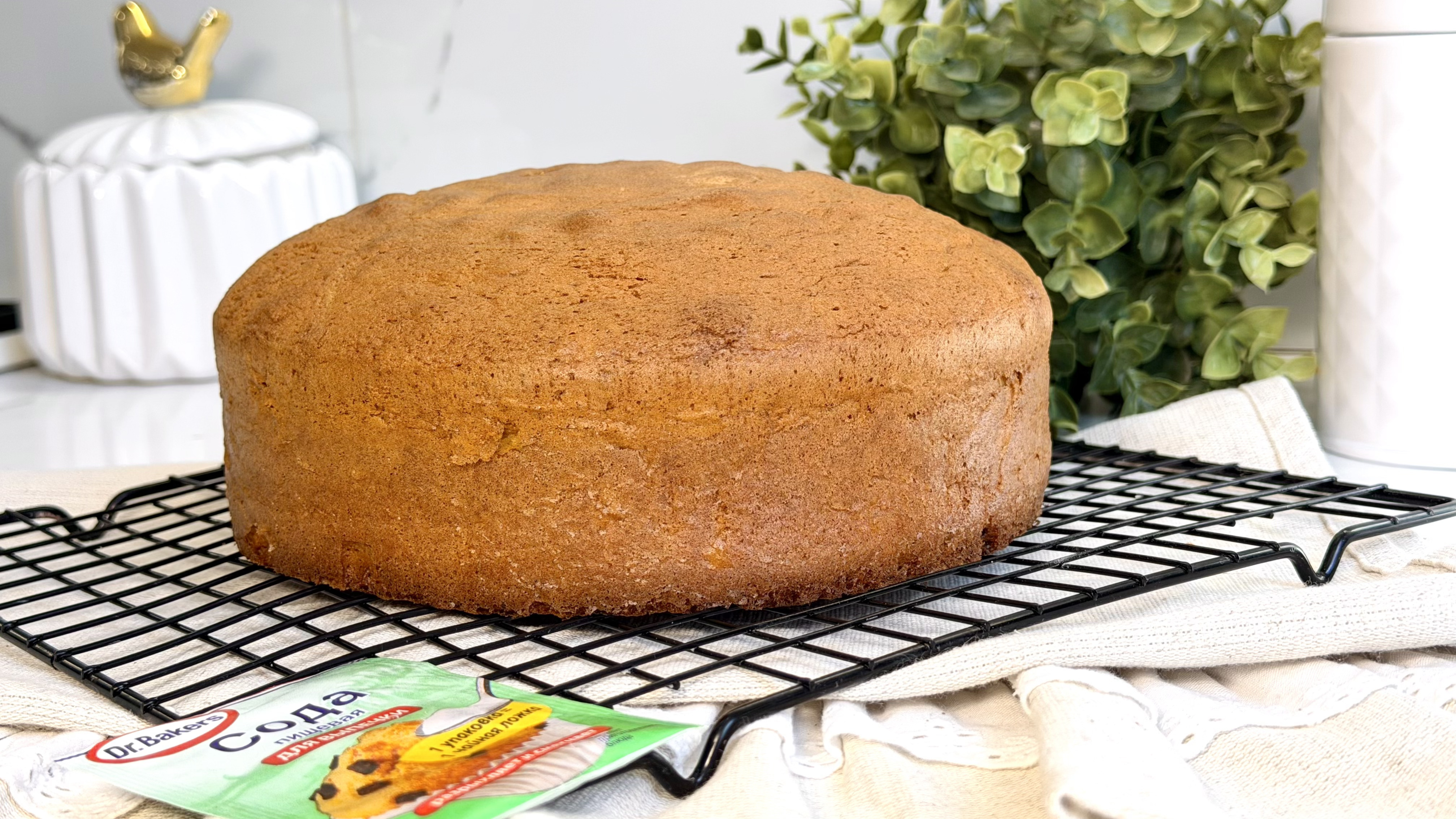 Фото рецепта быстрый бисквит на молоке